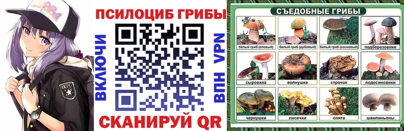 Псилоцибиновые грибы Magic Shrooms  Фокино 